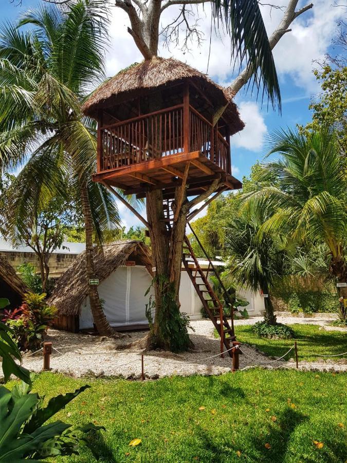 El Buho Bacalar Eco-Cabanas Hostal Exteriér fotografie