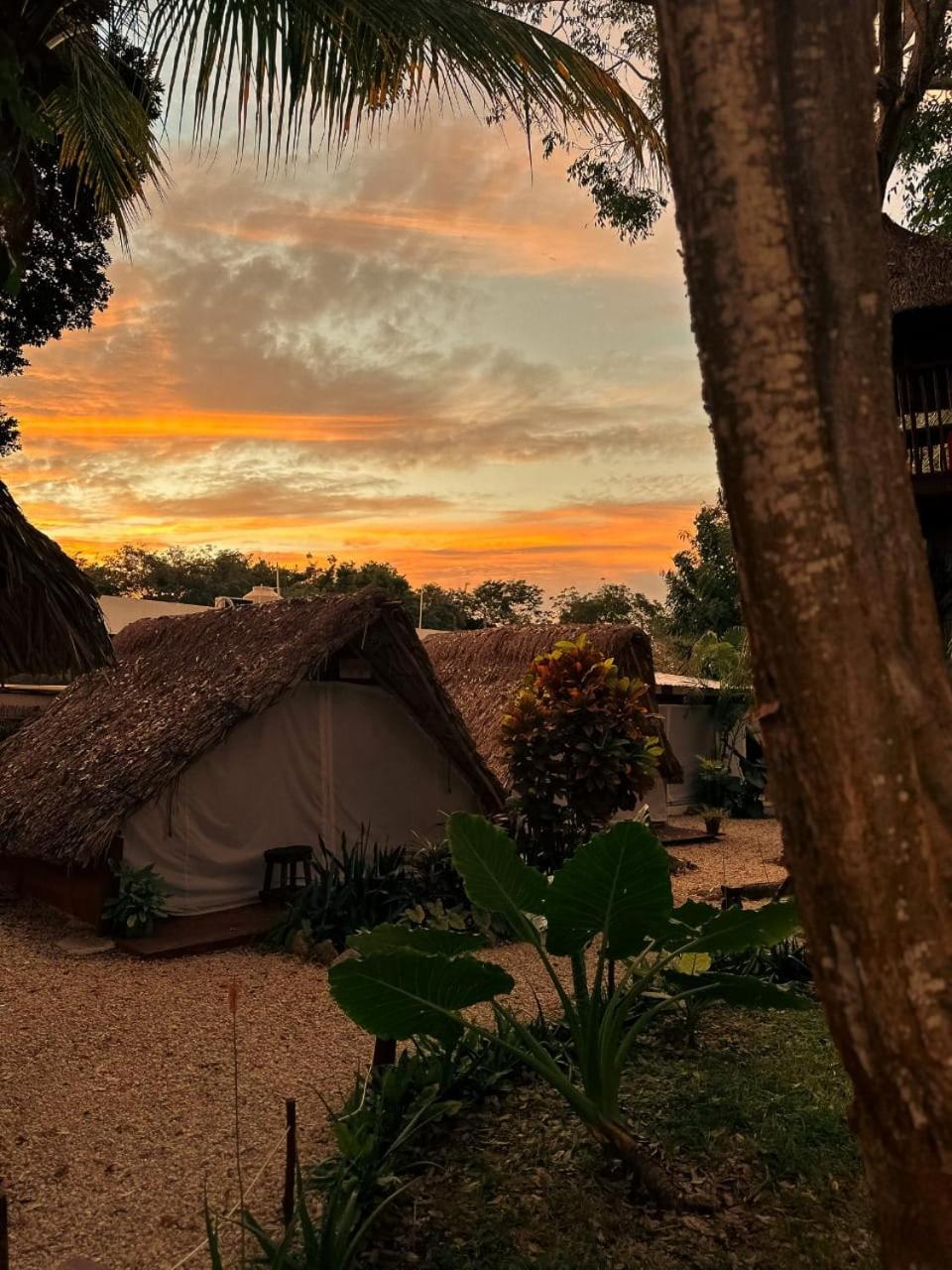 El Buho Bacalar Eco-Cabanas Hostal Exteriér fotografie