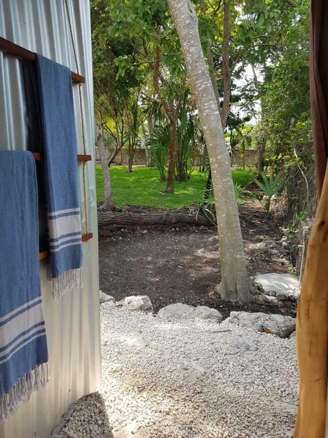 El Buho Bacalar Eco-Cabanas Hostal Exteriér fotografie