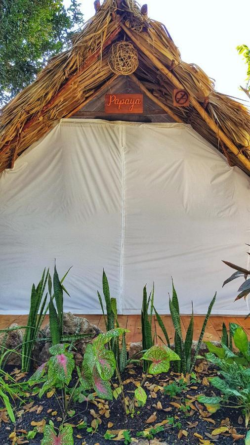 El Buho Bacalar Eco-Cabanas Hostal Exteriér fotografie